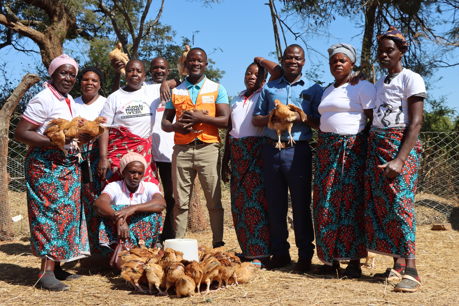 Chicken distribution