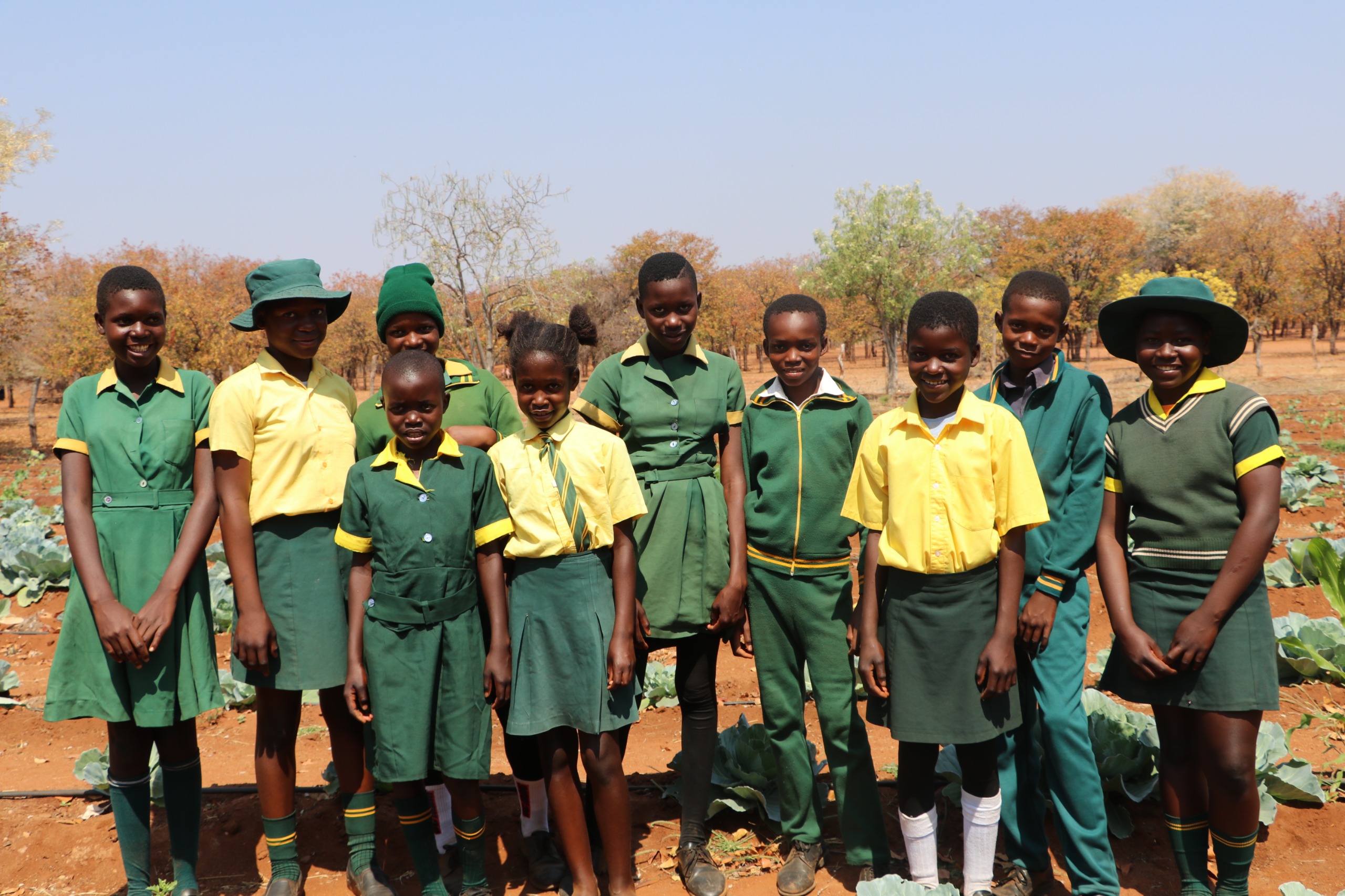 Children are also using drip irrigation to water their garden