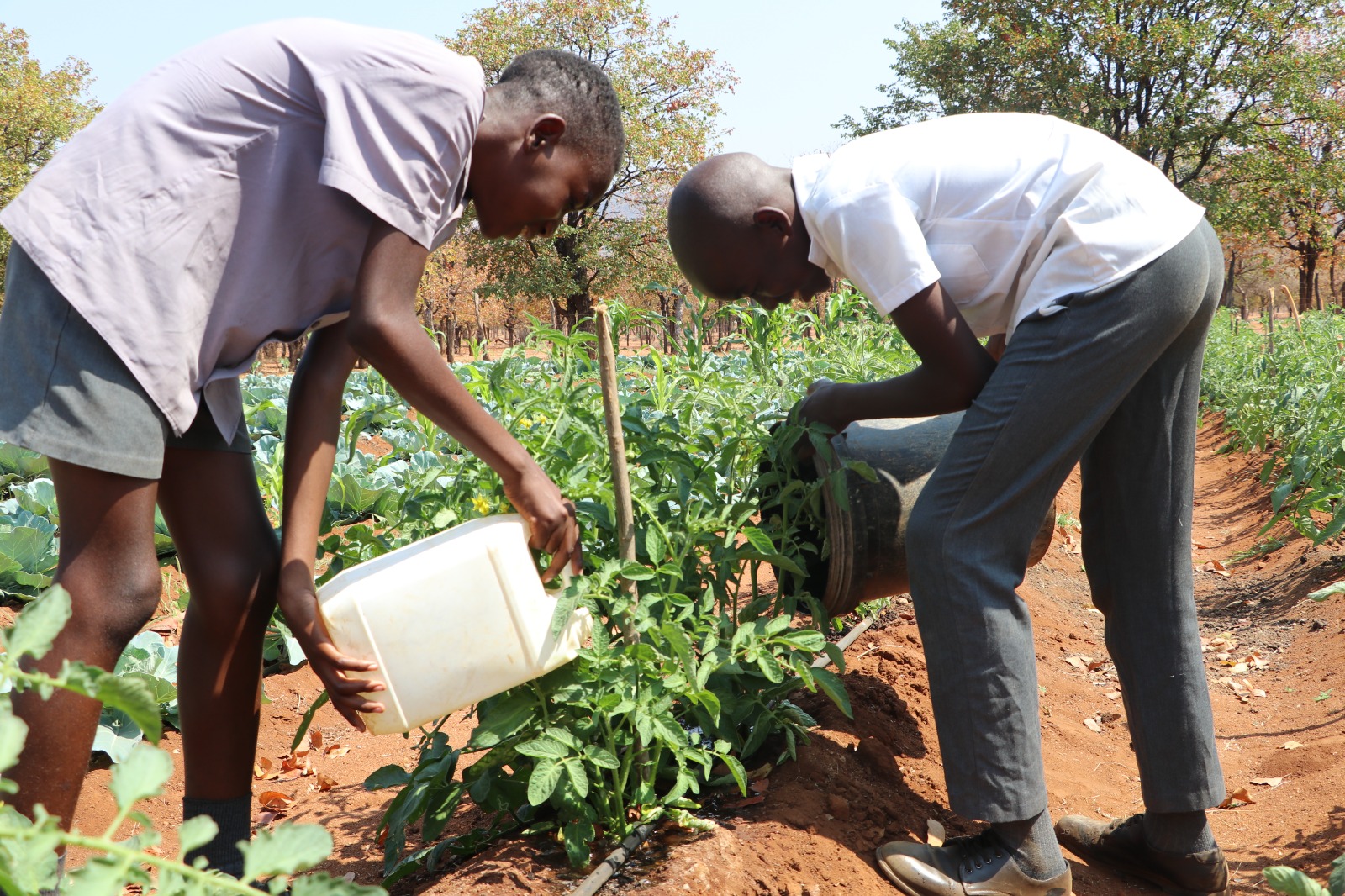 Children watering the garden