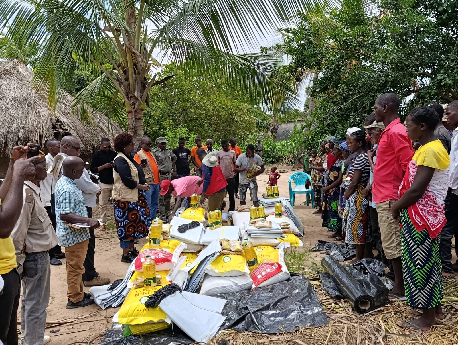 Food and shelter itens distributed in Zambezia