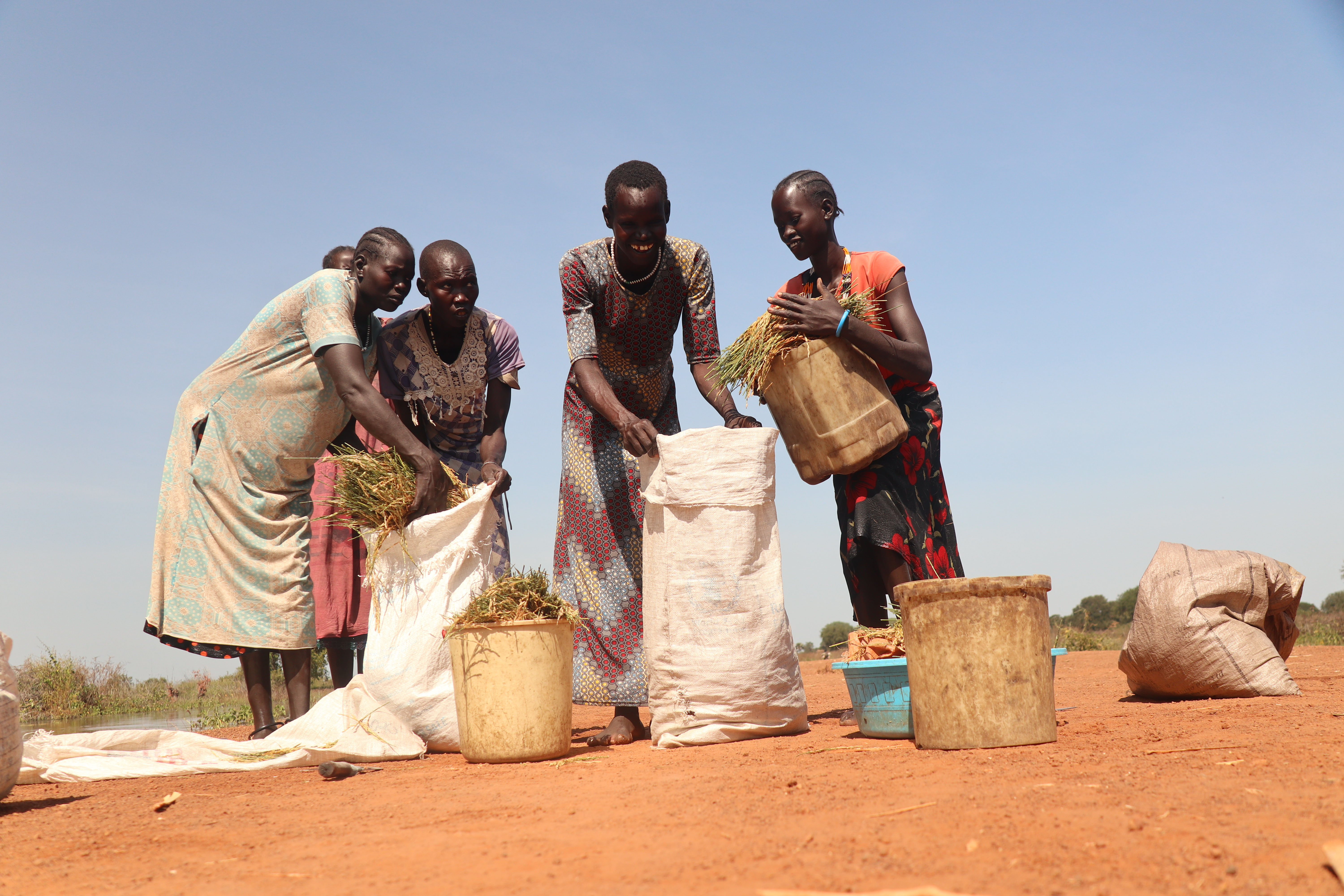 Women rice farmers