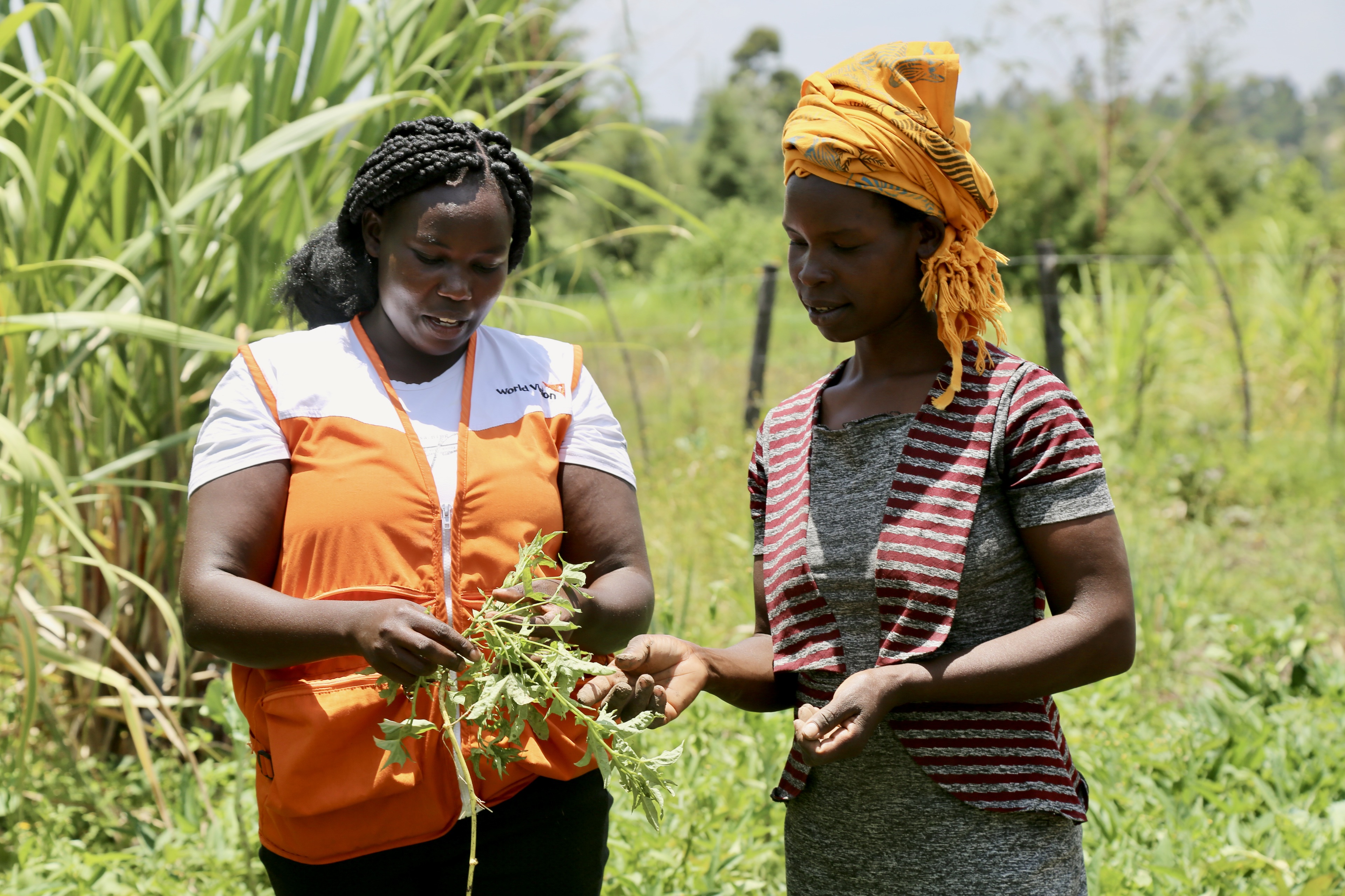 Beatrice continually engages with World Vision Kenya agriculture experts to ensure her produce is doing well