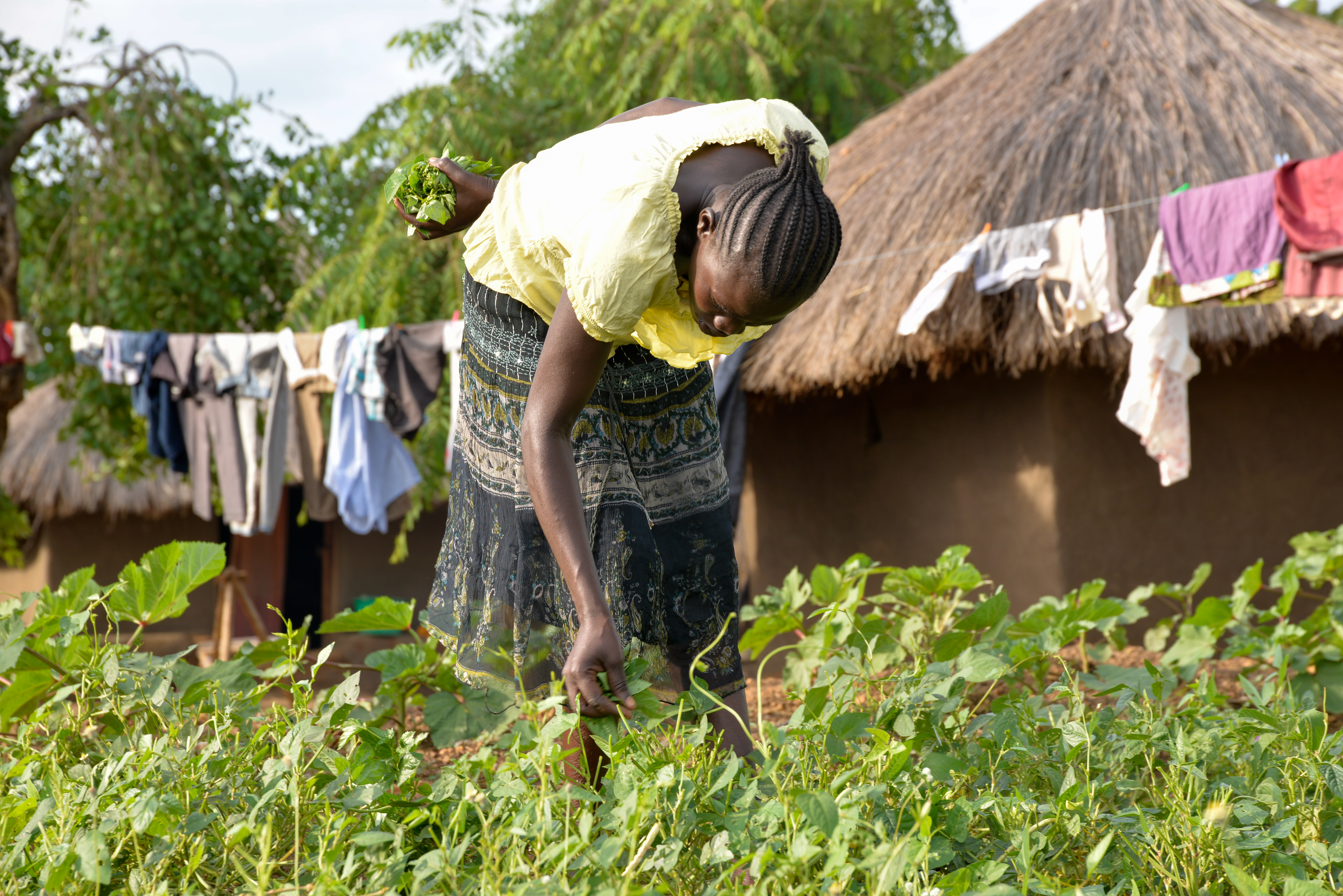 Some like Eve Mary have now turned to their piece of land to grow vegetables to supplement the food