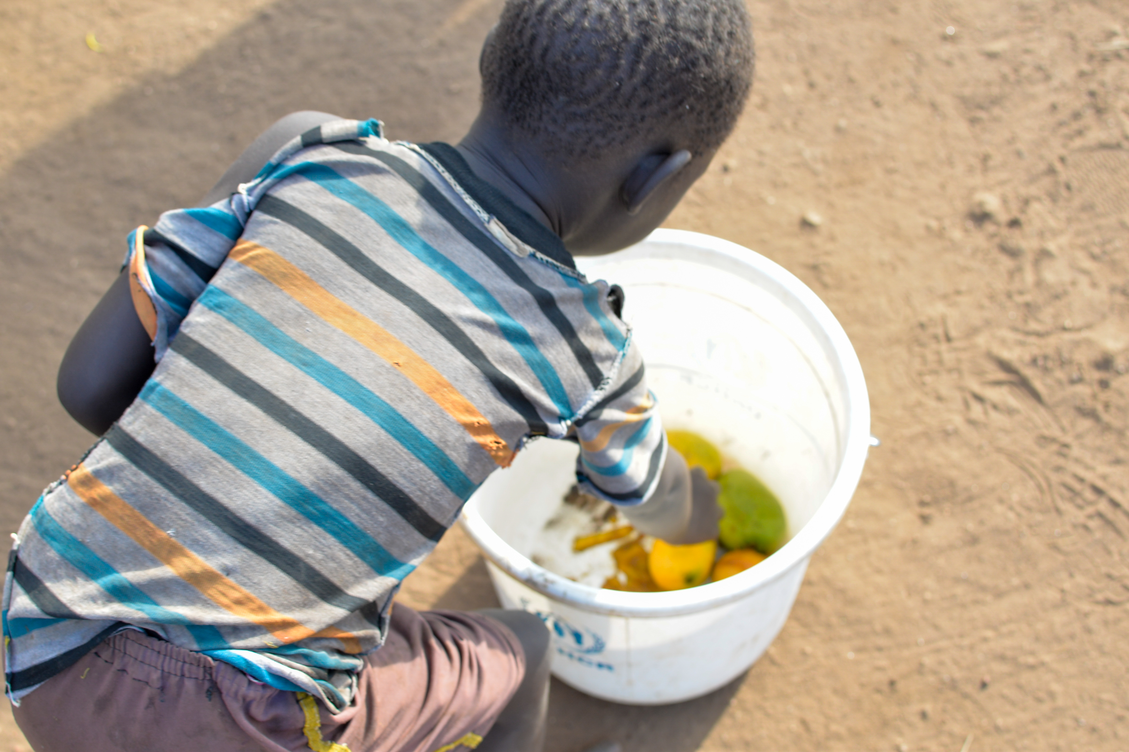 Children have now resorted to eating mangoes for lunch and dinner since their families cannot afford extra food