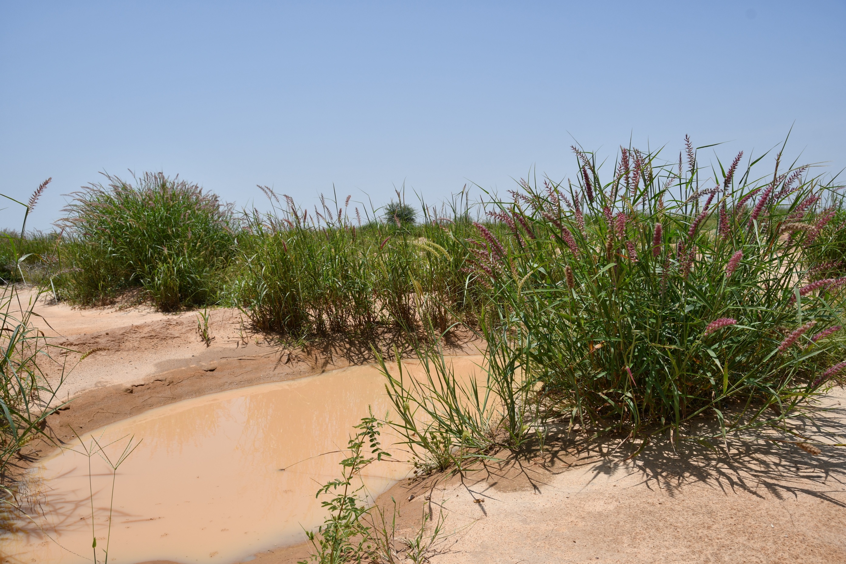 The lands around Iskita after the project.