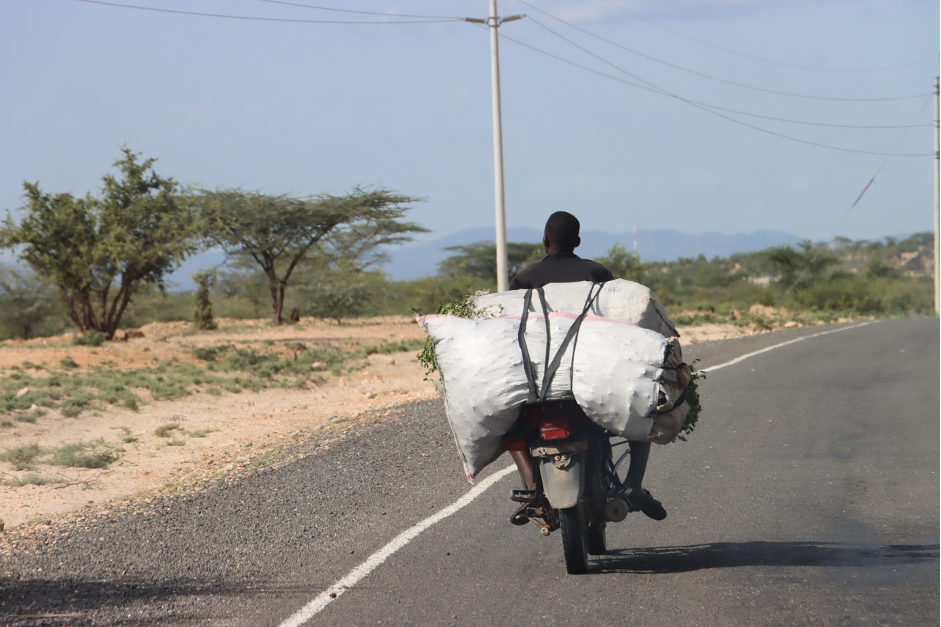Illegal charcoal is transported by motorcycle to the market for sale. Many rural communities in Kenya still rely on this trade to support their families.