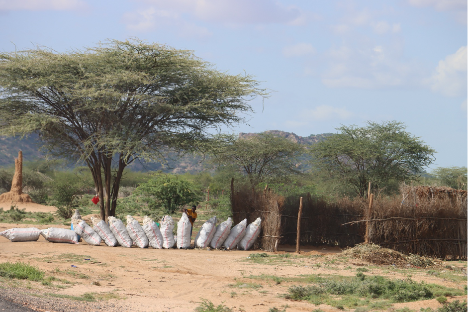 A woman packaging charcoal for sale. The charcoal industry threatens Kenya's forests, leading to a loss of biodiversity and contributing to climate change.