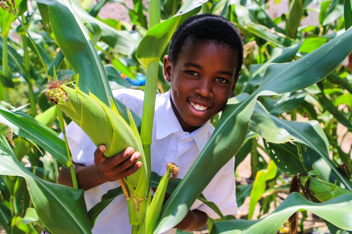 The school plans to expand the garden with more crops