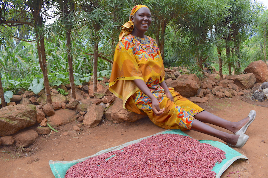 Edith dries high iron-rich beans that she planted from seeds distributed through World Vision'S ENRICH programme. They have enabled her to provide a balanced diet for the family and to get sufficient nutrients which boosts the health of pregnant women and that their unborn children. ©World Vision Photo/Sarah Ooko.