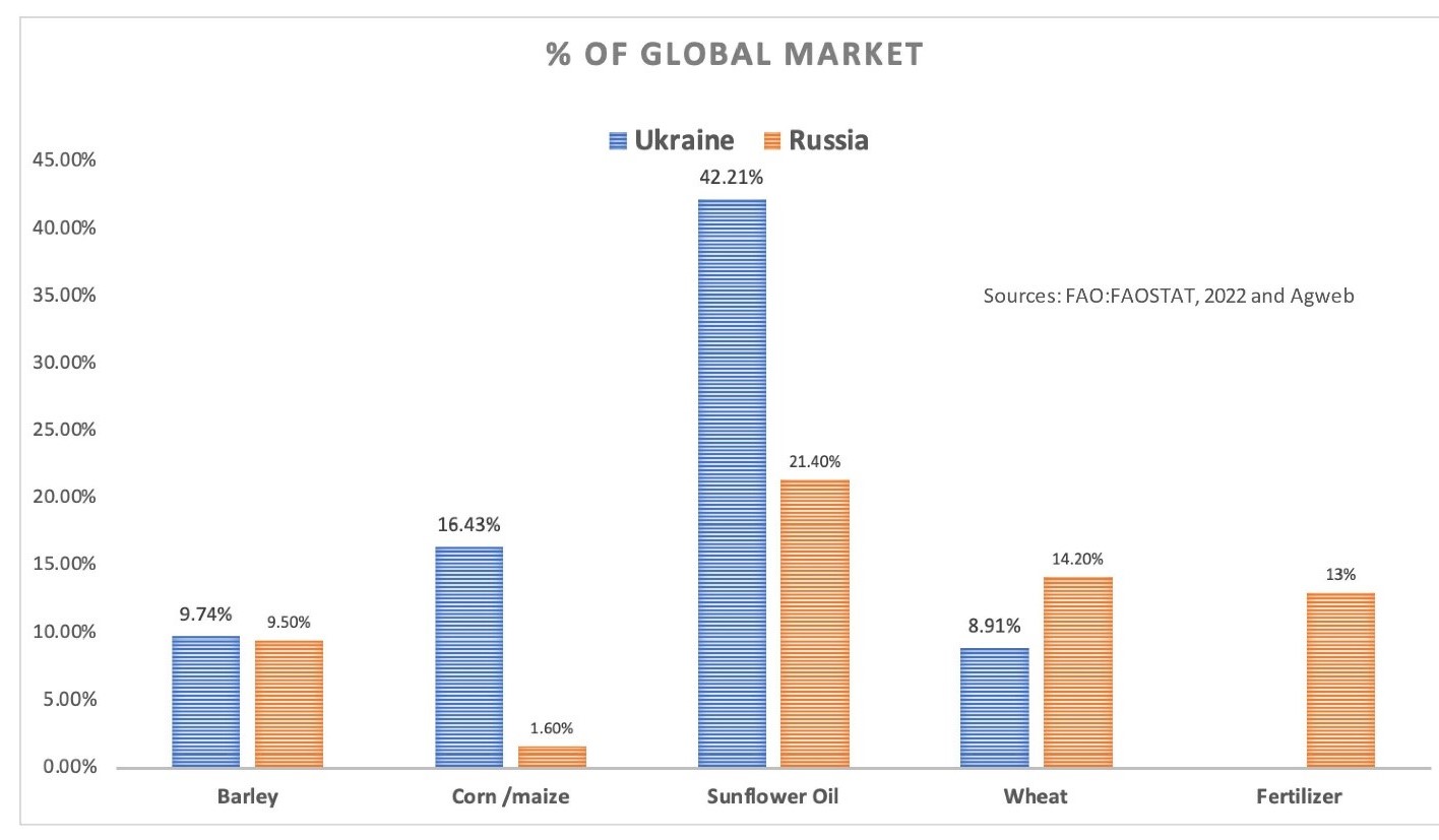 Russia Ukraine food supply 