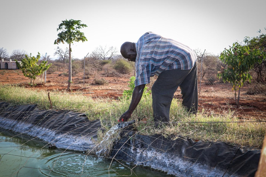 Petros opening a valve to fill the fish pond.