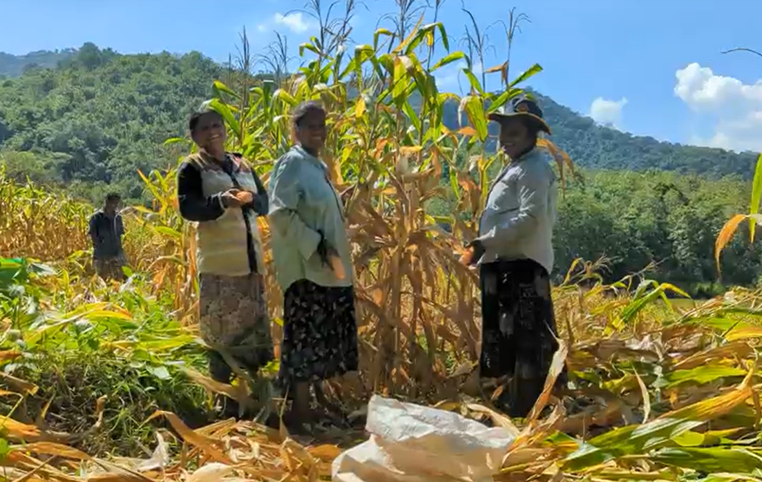 WVL_RISE Lanka_Cornfield farmers