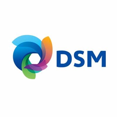 DSM logo