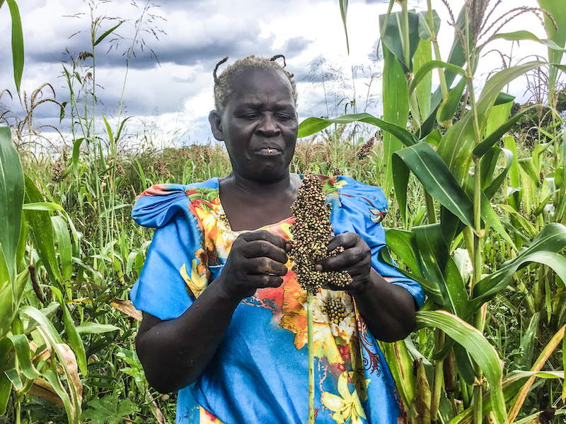 Rose Akao also grows crops like sorghum