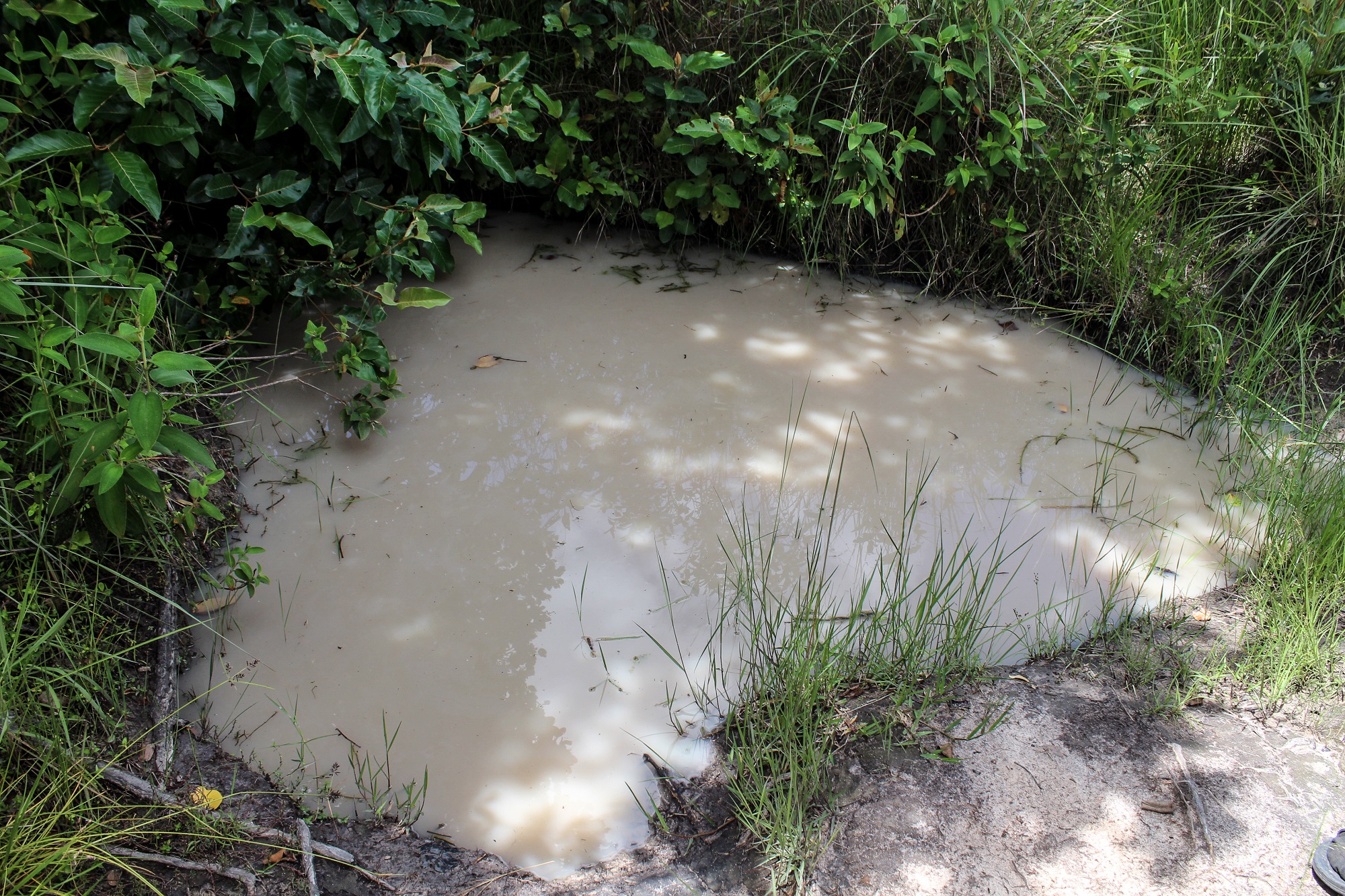 one of the dirty old water source at kapampa village