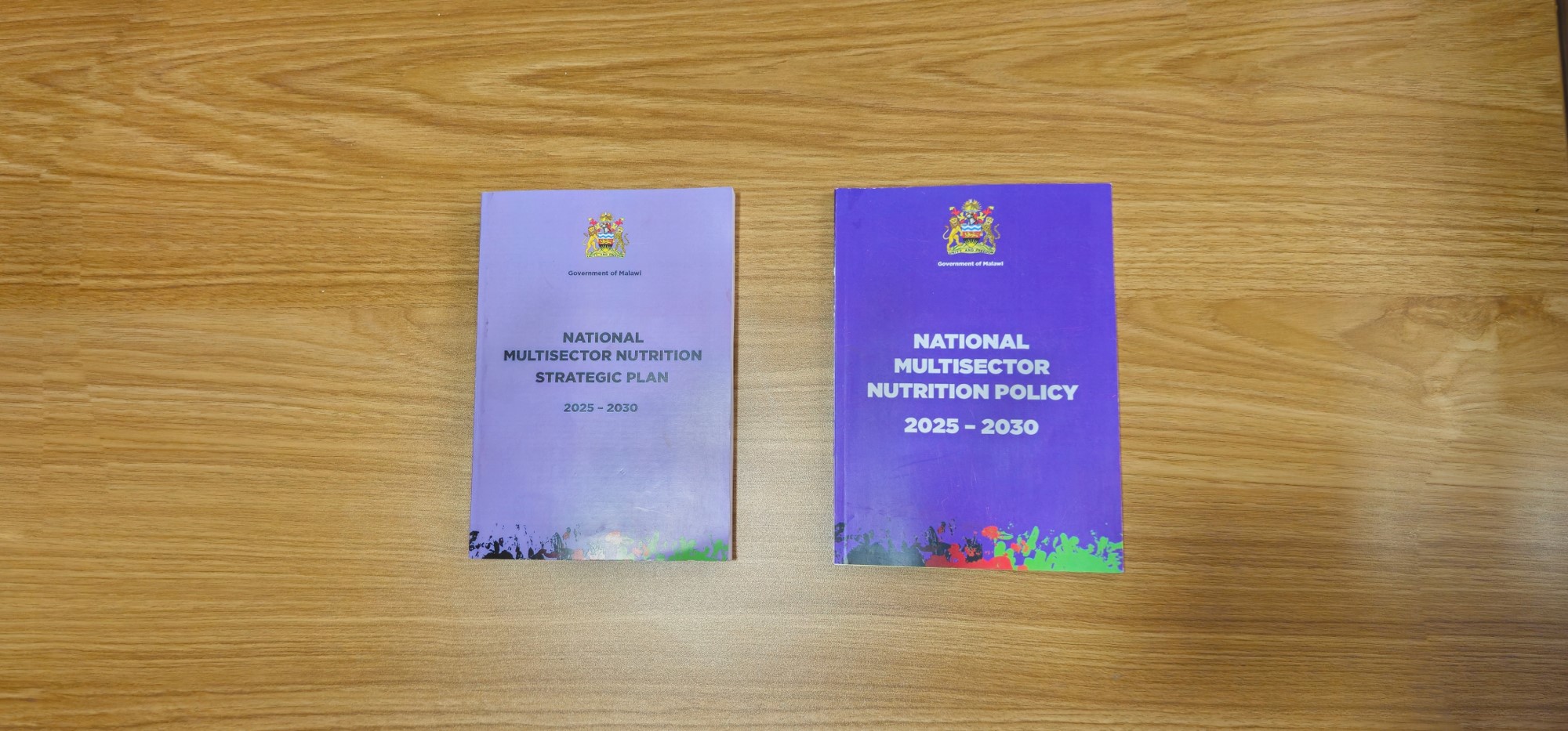 The newly launched National Multisector Policy and Strategic plan
