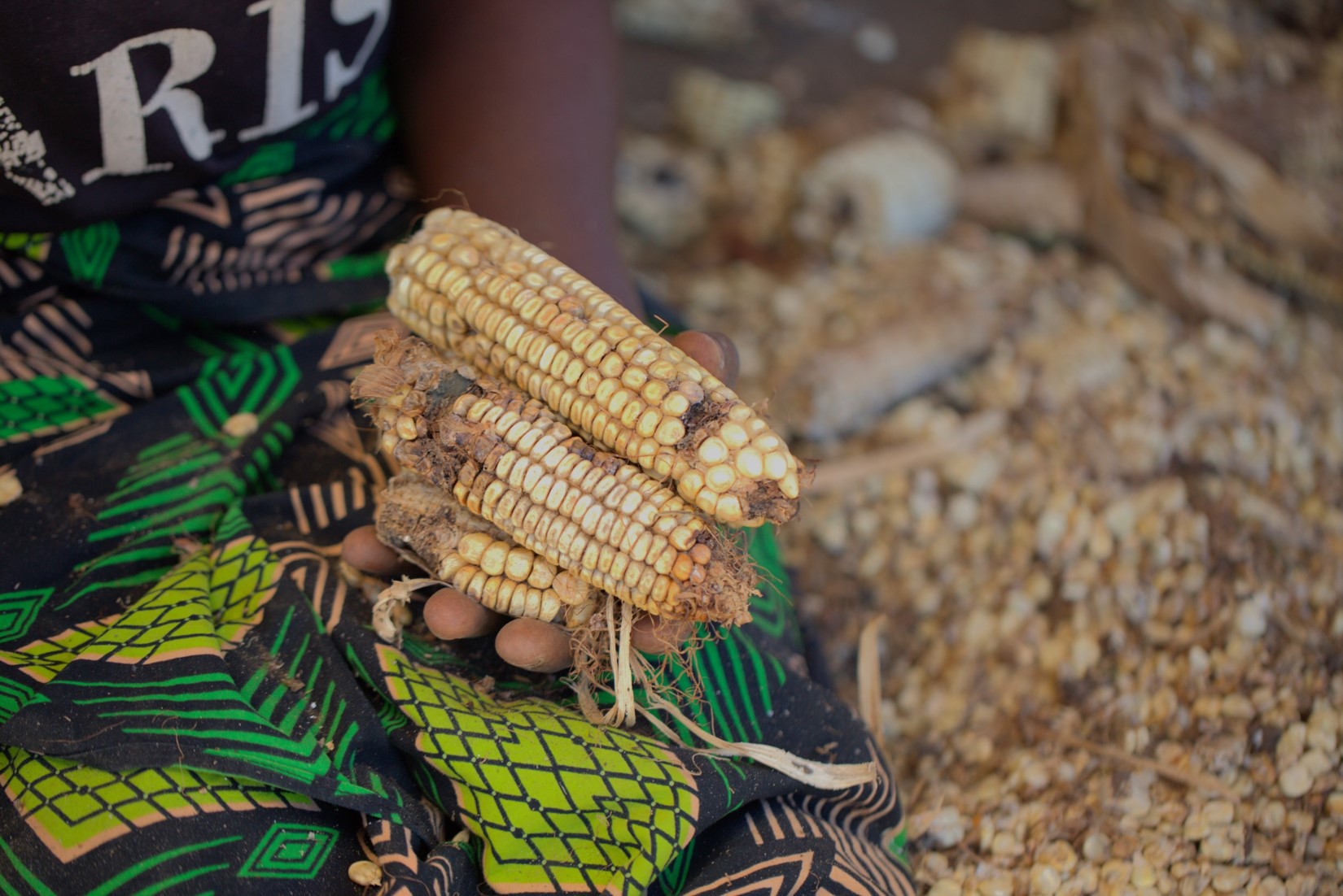 Stella Samuel showing some farmers produce
