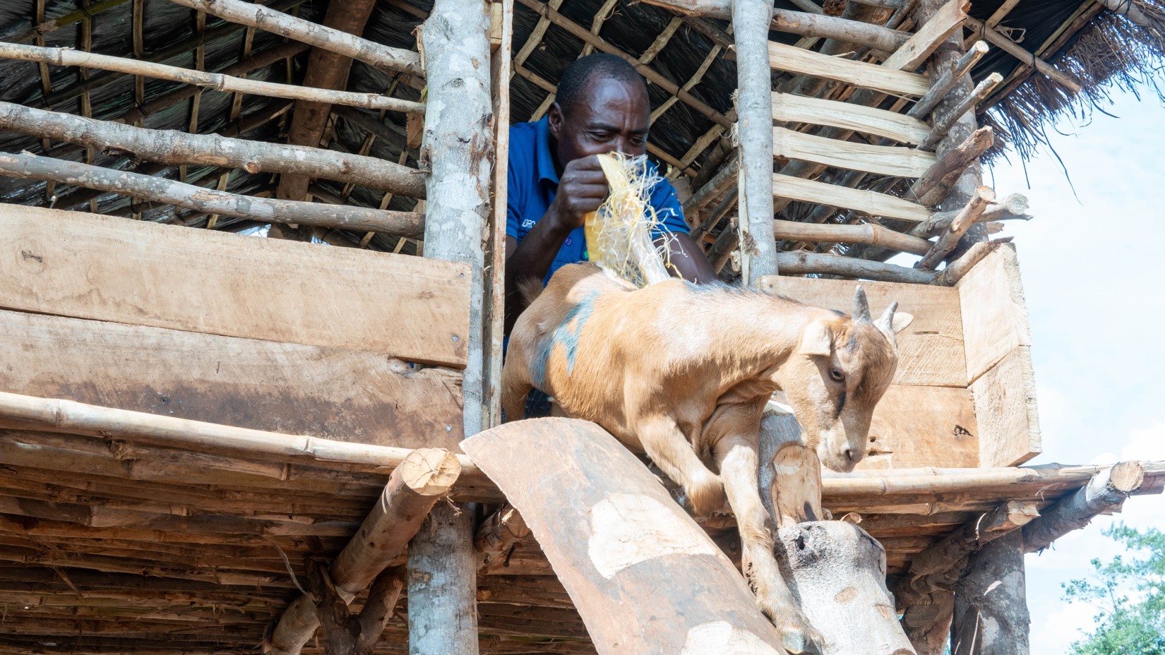 Tembo holding one of his goats he received from pass-on program.