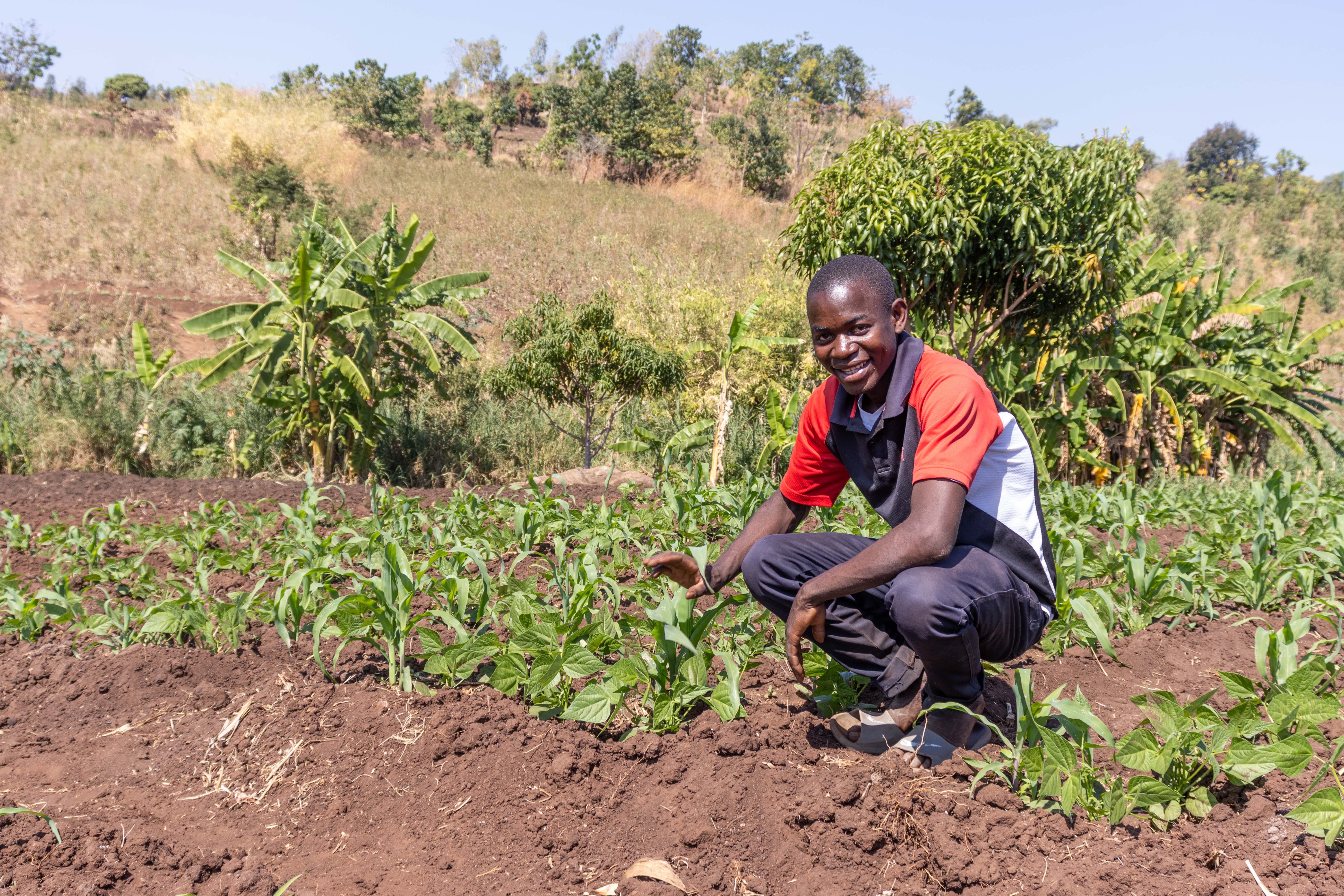 Luka Partrick, Chairperson of the Water Users Association, showing some of the plants the communities are growing through irrigation.
