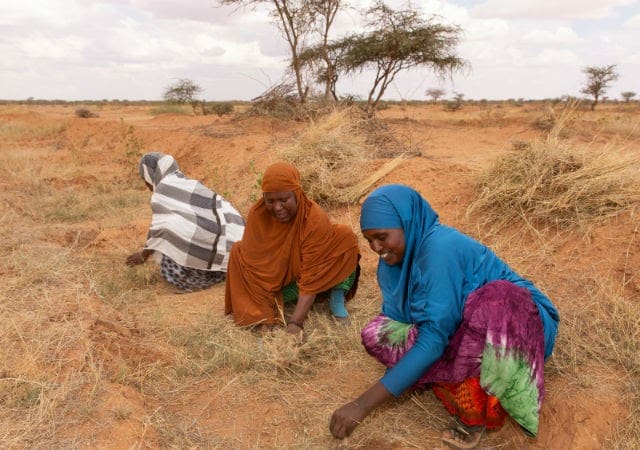 Women enjoying collective field work in Somalia. Photo Credit: Maya Assaf-Horstmeier.