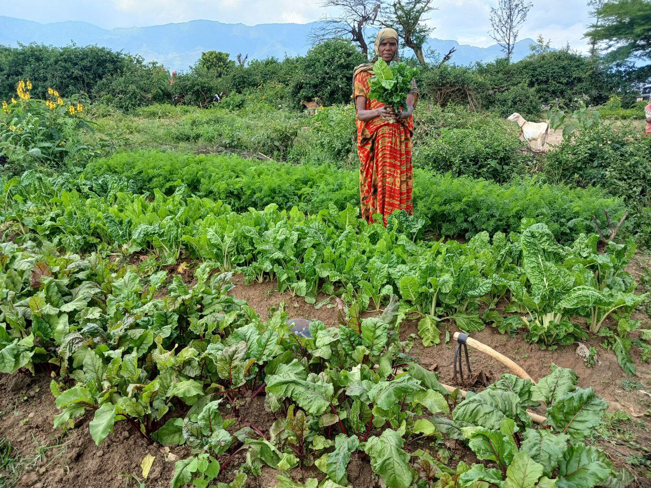 Kadija at her farm