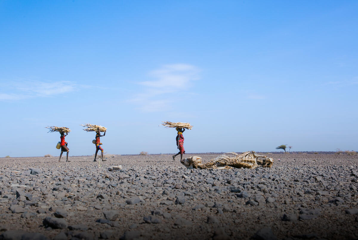 People carrying bundles of sticks across dry ground