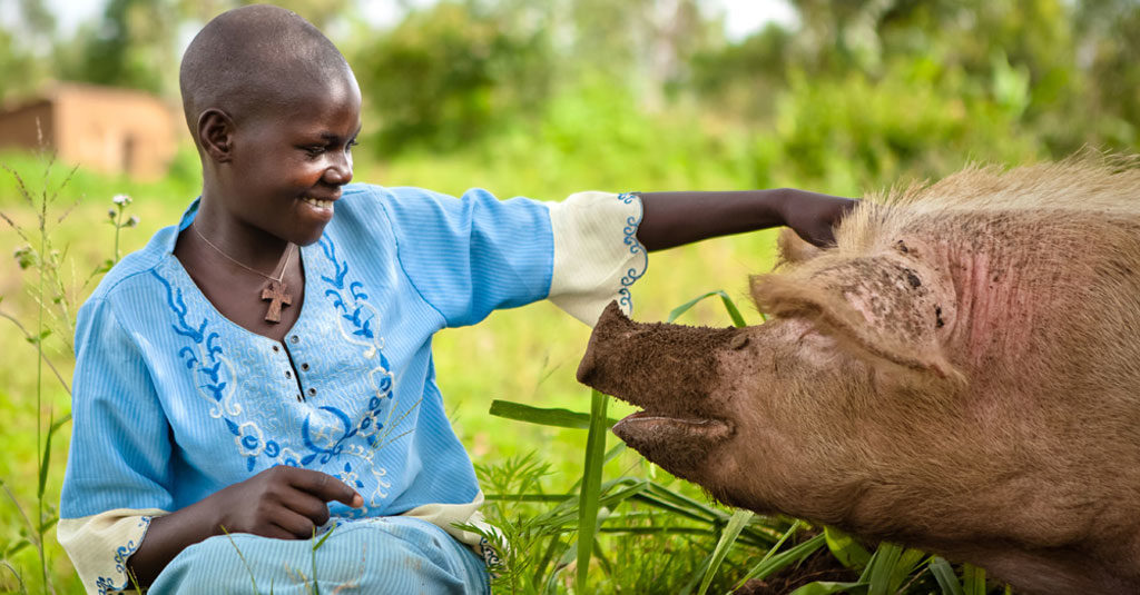 girl pets pet pig