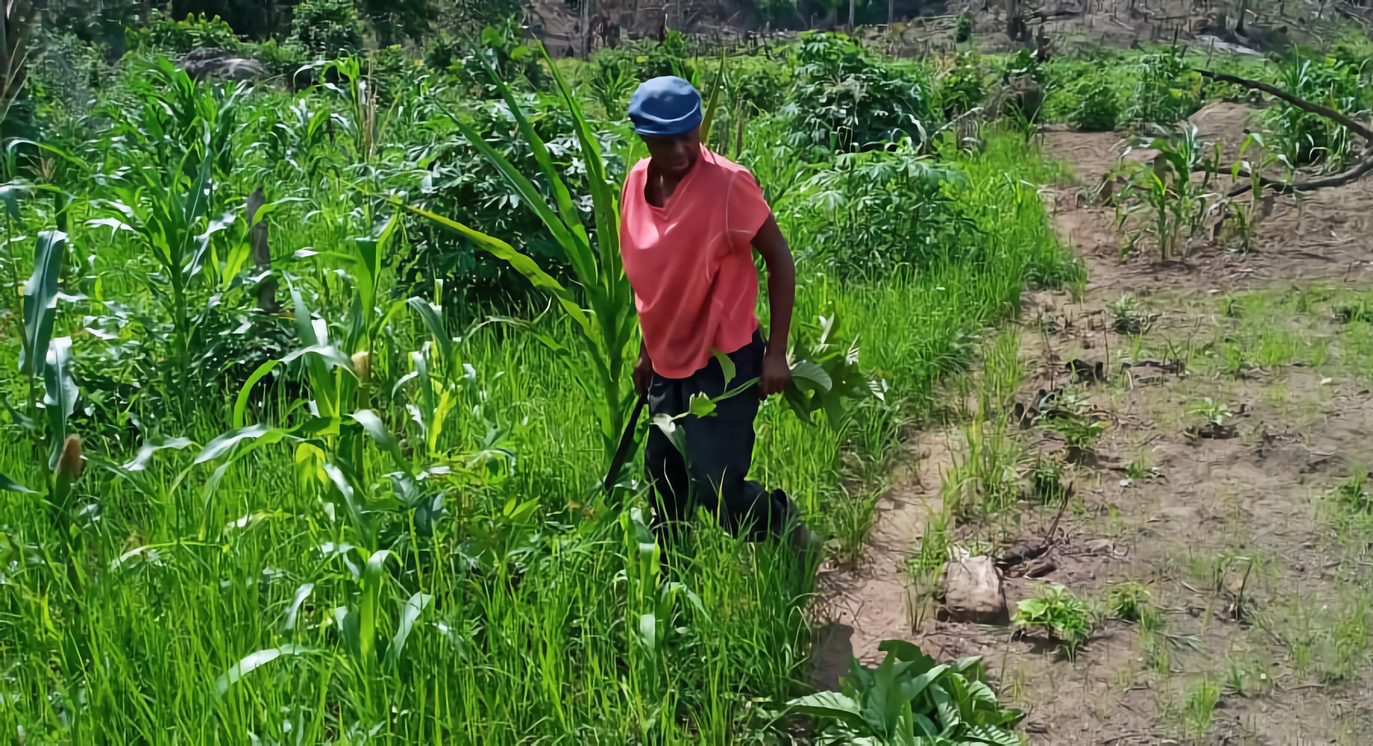 Pastor Emmanuel planting