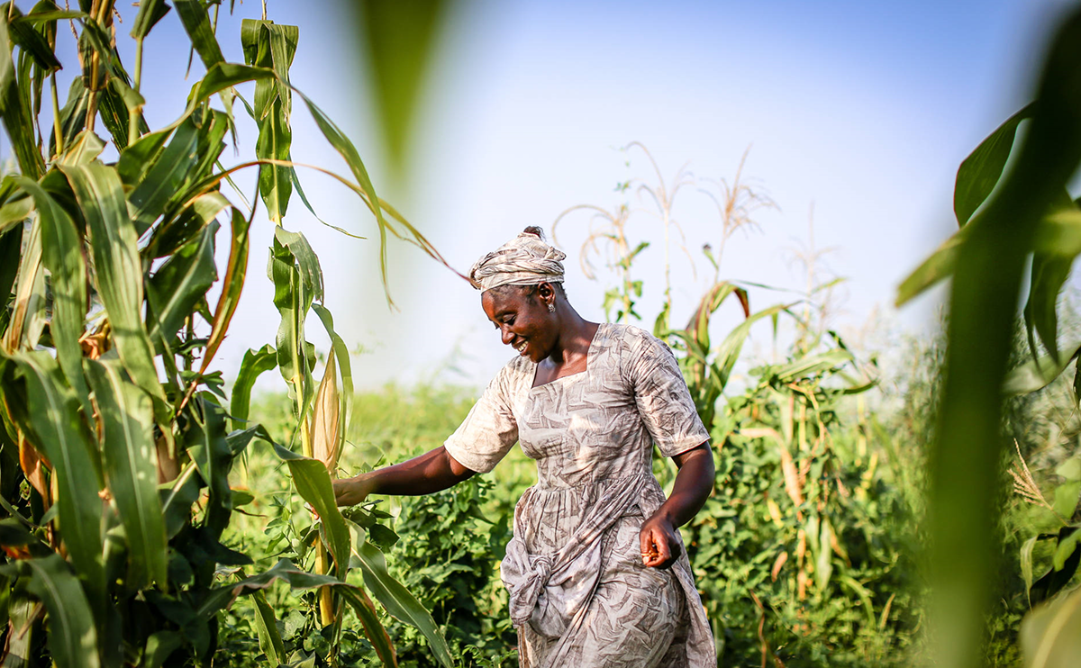 Senegal Livelihoods and resilience