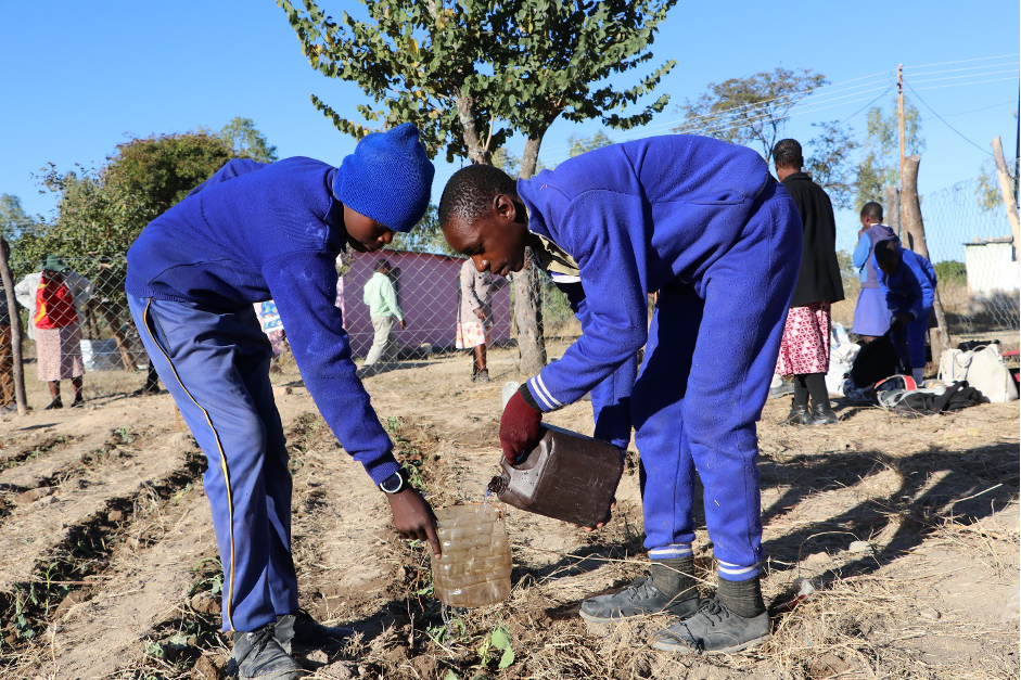 A piped water system marks the genesis of a nutritional garden