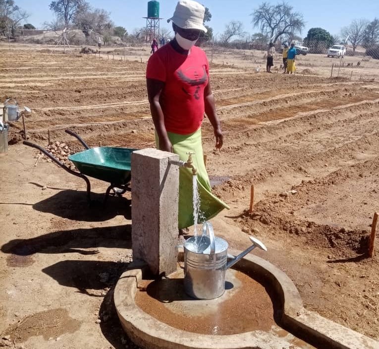 Rosemary Mhlanga tending to her garden allotment 