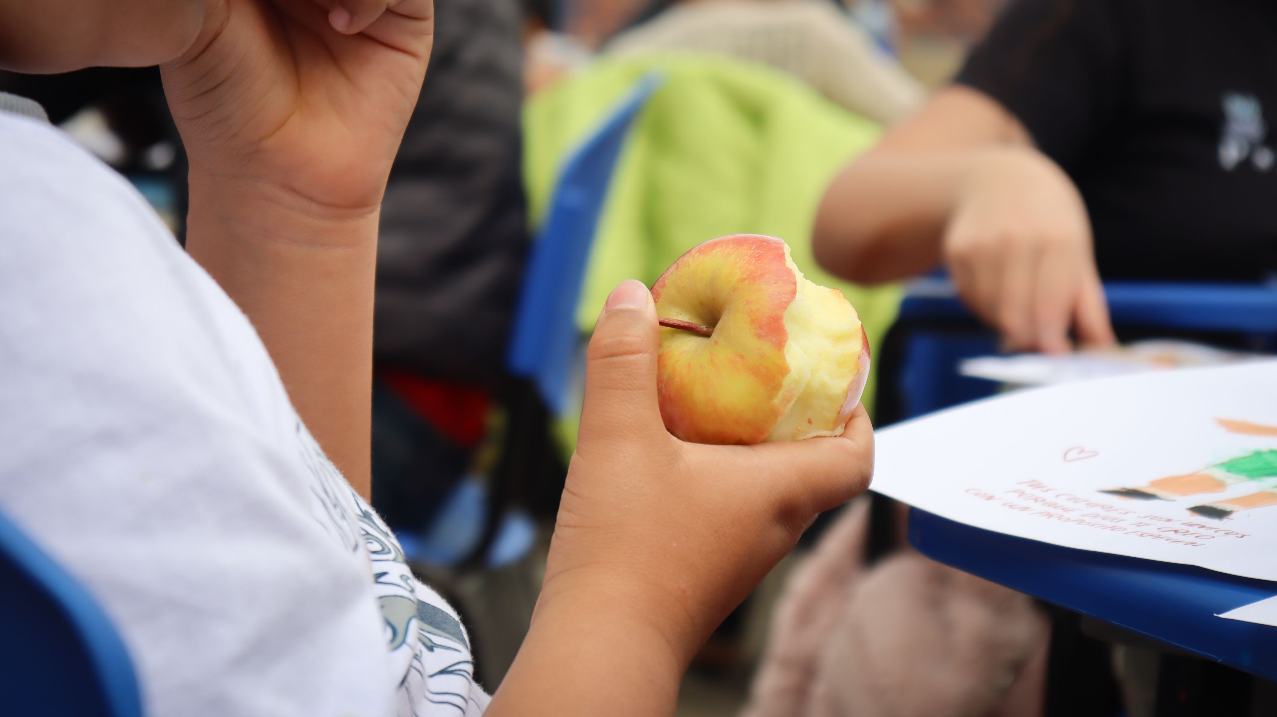 School meal snack: a healthy apple