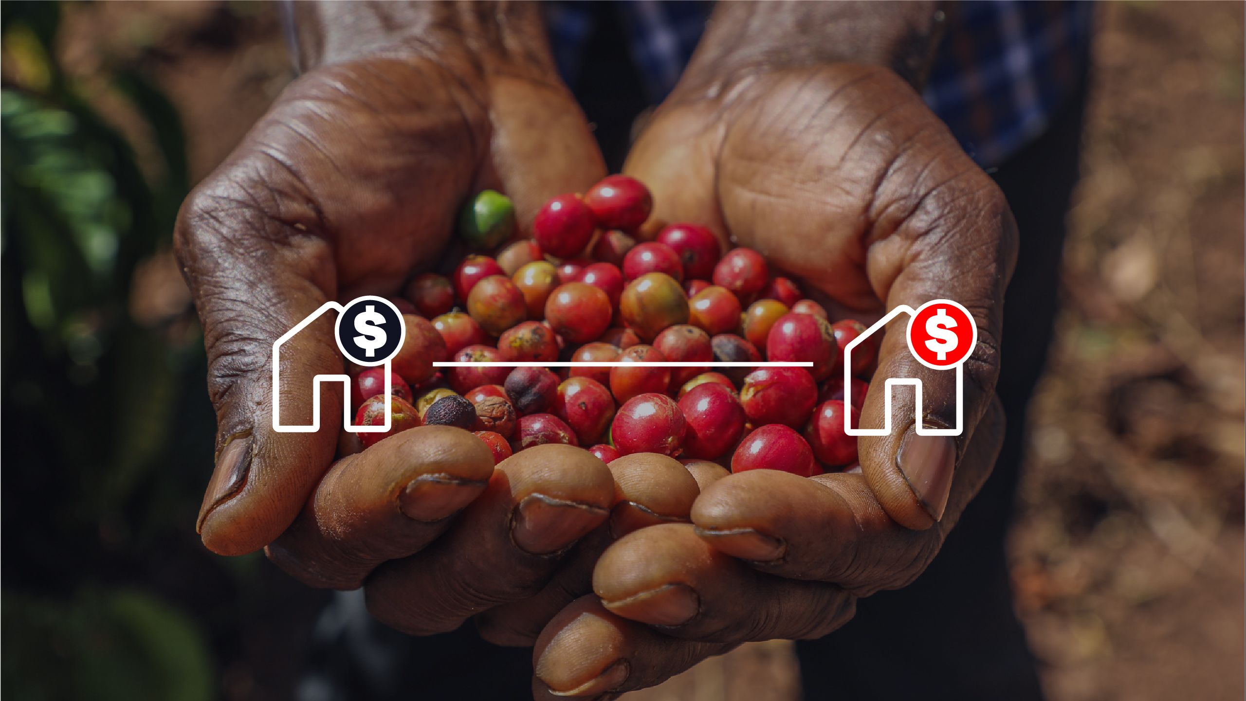 Households experiencing cuts in assistance are 5.4x more liely to jhave moderate to severe food insecurity