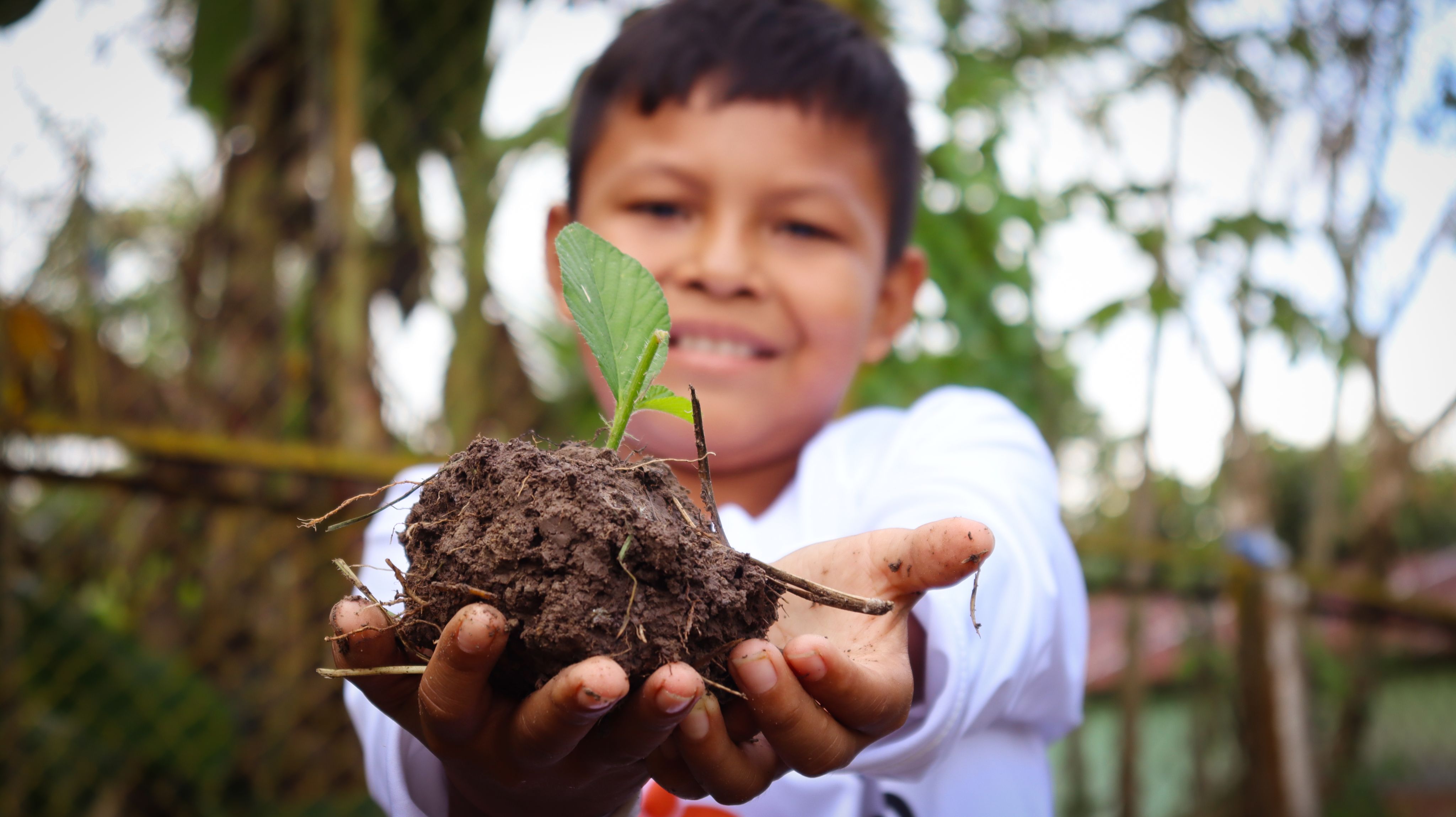 A young boy shows a plant