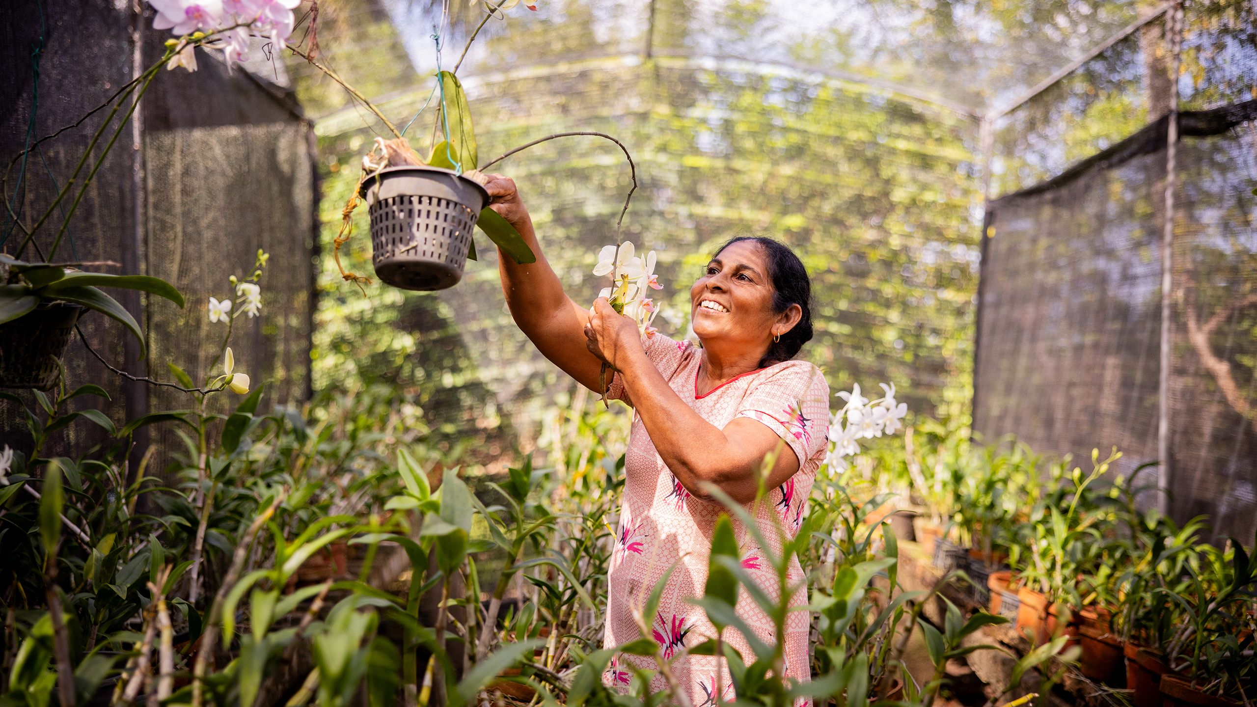 A woman standing in her orchid greenhouse