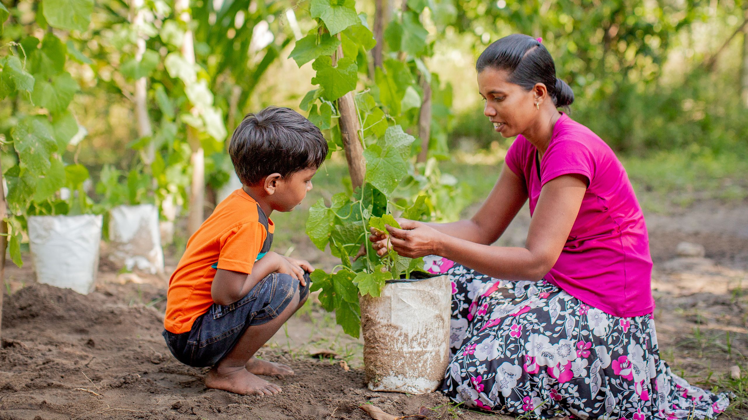 A mother and son squat down while looking at a growing plant