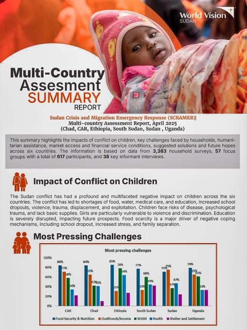 Multi- Country assessment report
