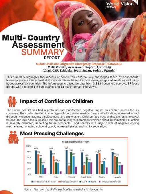 Multi- Country Assessment SUMMARY REPORT- SCRAMMER