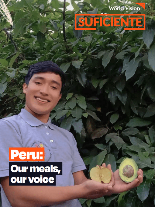 Peru cover