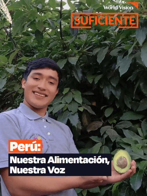 Peru cover
