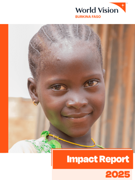 WVI BF: Impact report 2025