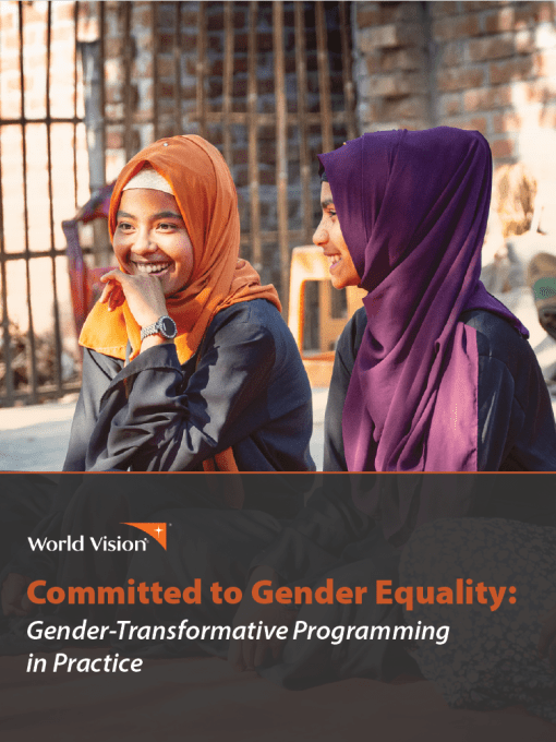 Committed to Gender Equality: Gender-Transformative Programming in Practice