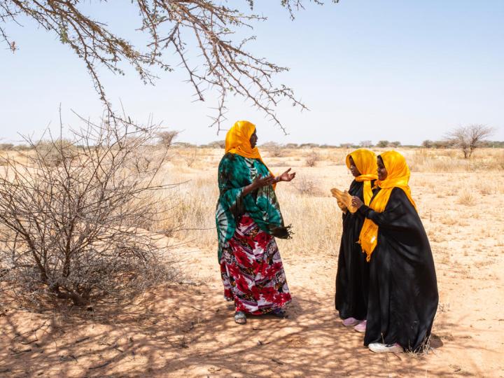 Farmer managed natural resources in somalia