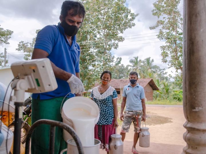 Dairy Development