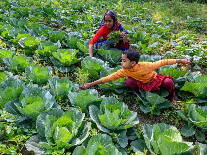 Asia Pacific_livelihoods
