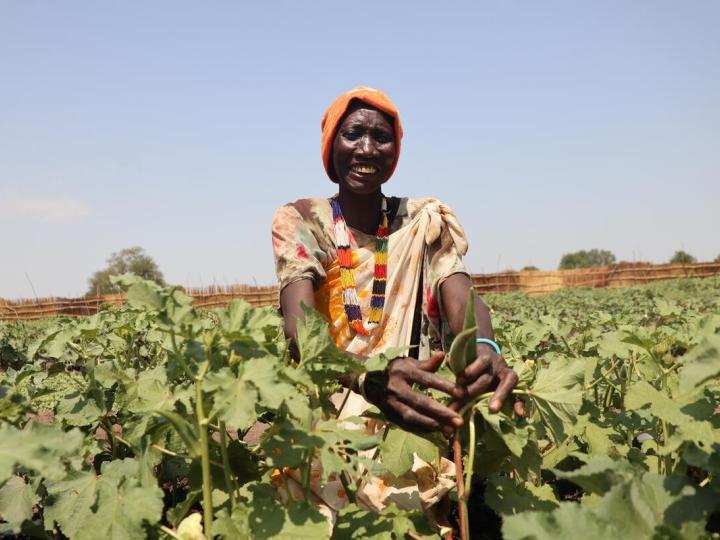 Woman sits in field of crops