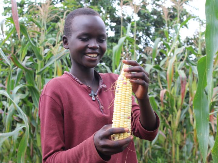 young girl holds up an ear of corn