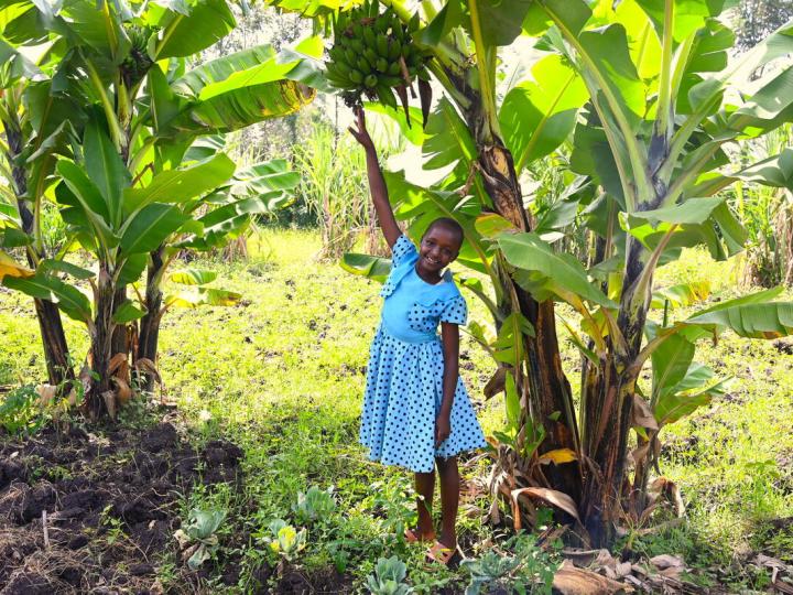 young girl reaches up to touch a bunch of bananas hanging in a tree