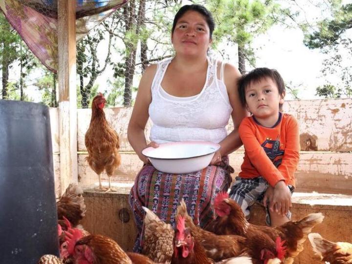 woman and her son with chickens