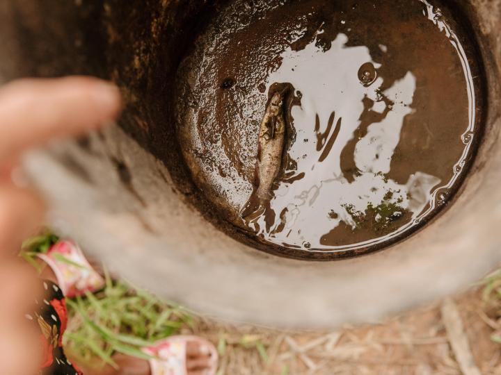 Over 69 million people in the Asia Pacific were acutely food insecure in 2022.